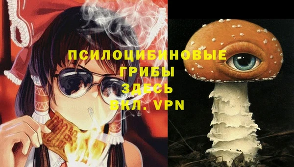 дживик Балахна