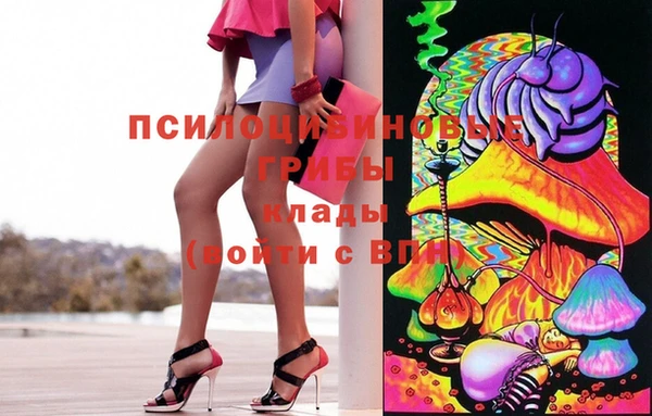прущие крисы Аркадак